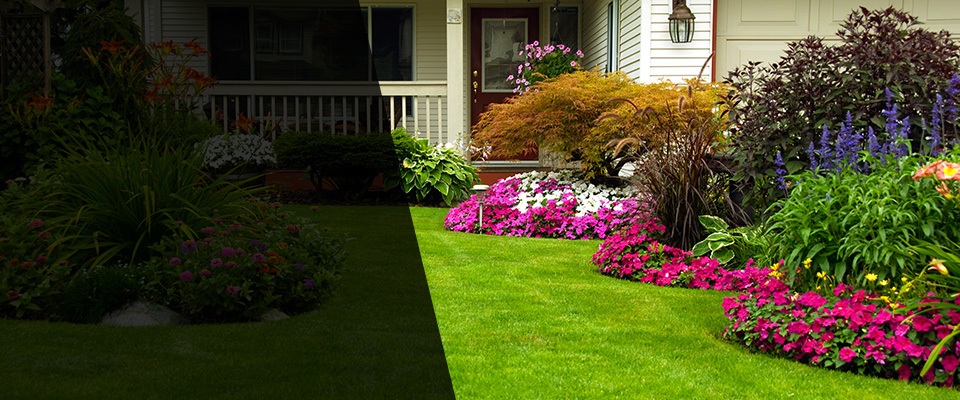 Dunellen Landscapers
