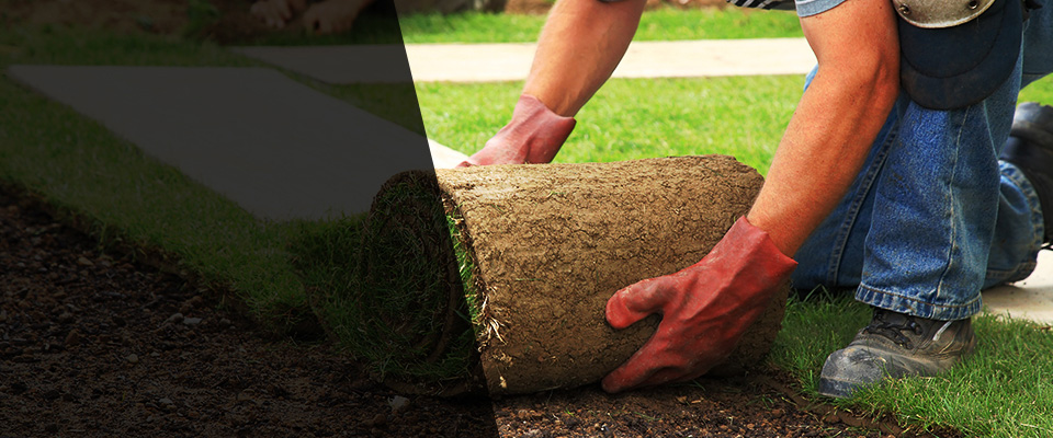 Dunellen Landscapers